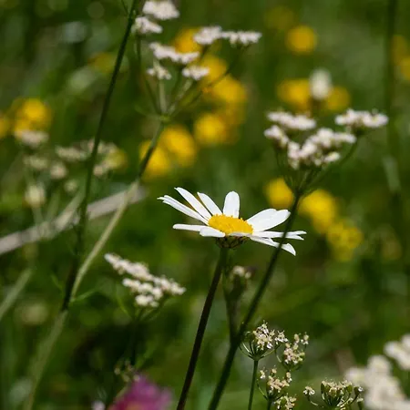 Haus Tanneck トゥクス